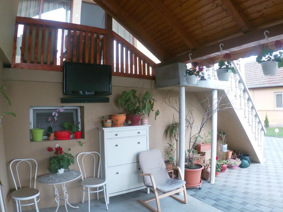 Casa Sannicolau Panzió Nagyszentmiklós Kültér fotó