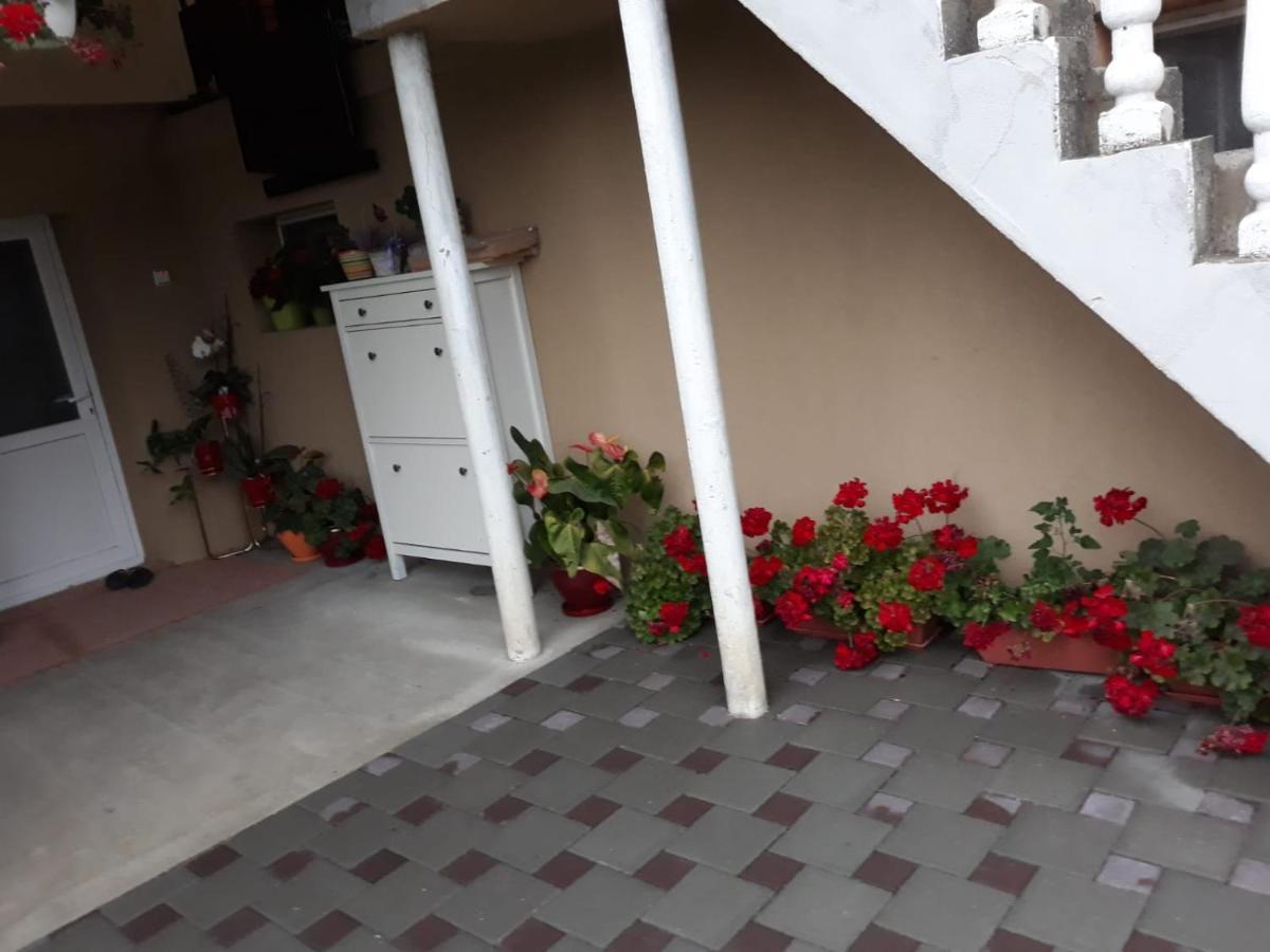 Casa Sannicolau Panzió Nagyszentmiklós Kültér fotó