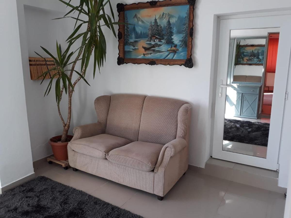 Casa Sannicolau Panzió Nagyszentmiklós Kültér fotó