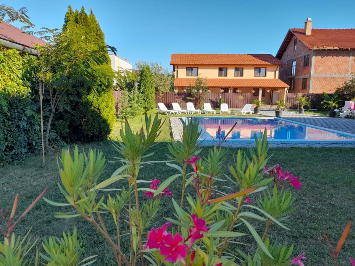 Casa Sannicolau Panzió Nagyszentmiklós Kültér fotó